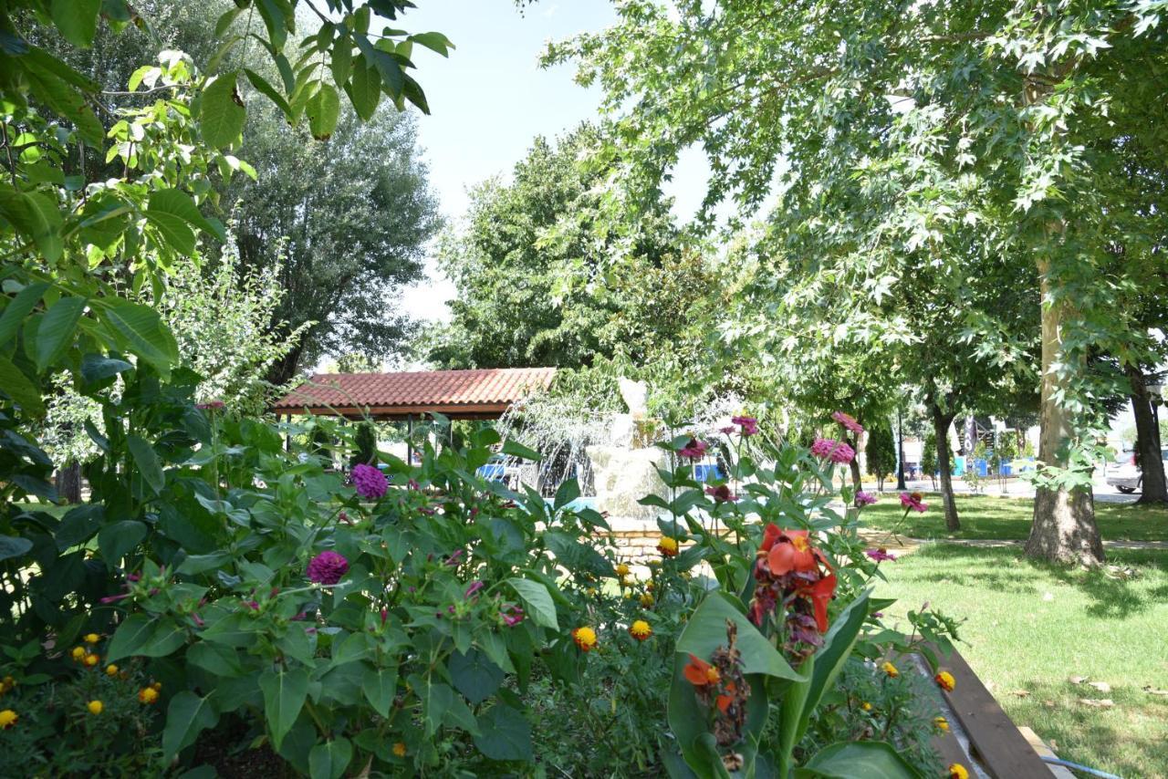 Krikonis Hotel Ioannina Exterior photo