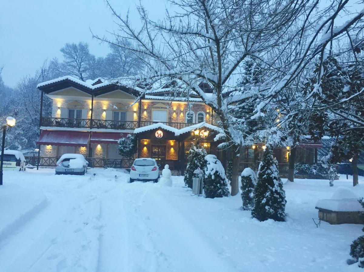 Krikonis Hotel Ioannina Exterior photo